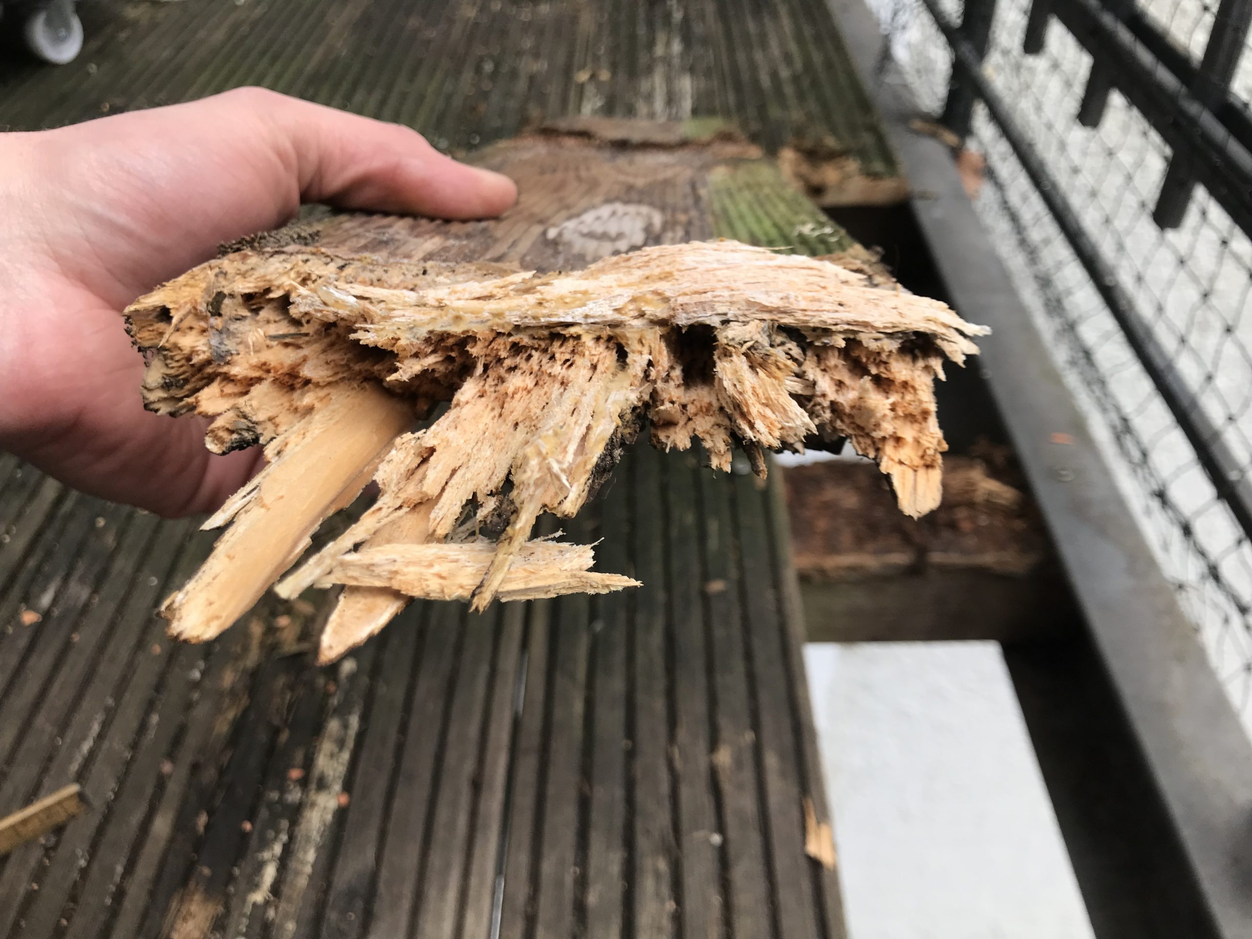 Holzterrassen Schadensbilder Vorbeugung – Beispielterrasse mit Bewitterung, Feuchte & Pflegepunkten