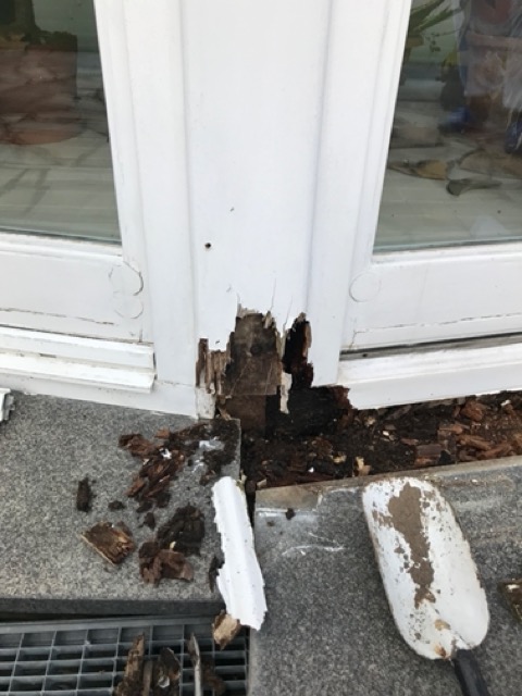 Feuchteschaden an einem Holzfenster im Altbau als Hinweis auf ungeklärte Anschluss- und Feuchteprobleme vor einem Fenstertausch